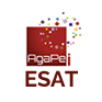 logo_esat